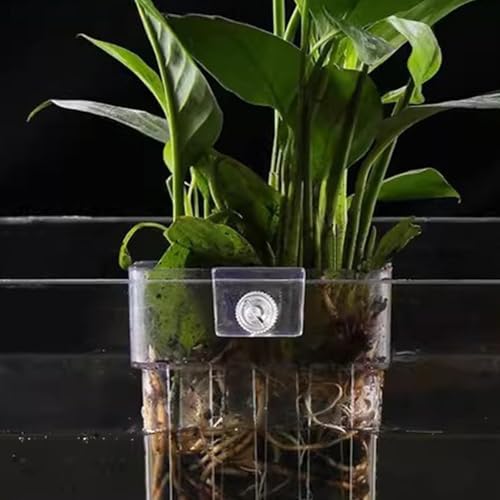 Support plante aquarium suspendu en PP transparent pour décor