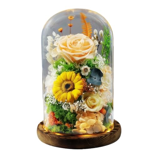 OGXNプリザーブドフラワー、仏花、ブリザーブドフラワーアレンジメント、LEDライト付き、ガラスドーム保護、永久保存可能、菊とバラのデザイン、一対セット、仏壇用・供花・法事・49日法要・お盆・お彼岸・告別式・枕花・ペット供養・喪中見舞いに対応 (シャンパン