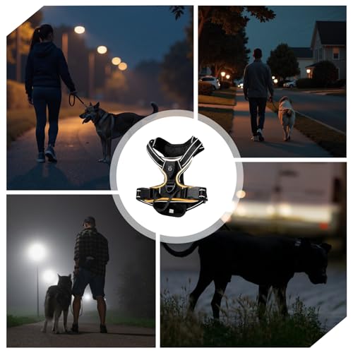 Hundegeschirr Leuchtend, LED Hundegeschirr Aufladbar mit Griff, Leuchtgeschirr LED Verstellbar, 7 Farben Leucht Brustgeschirr Anti Zug Atmungsaktivität & Komfort für Hunden 7.5-17.5kg(Schwarz, M)