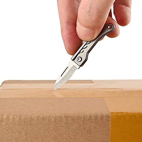 Ultra Small Little Folding Pocket Titanium Knife, D2 Steel Blade Titanium Alloy Handle, Mini EDC Portable Knife, Ultra Durable and Lightweight (Titanium natural color)