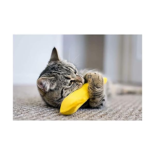 Yeowww. duckyworld 100% Organic Catnip Leaf & Flower Cat Toy Banana 3 Pack – Bild 5