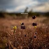 My Daily Life Planner