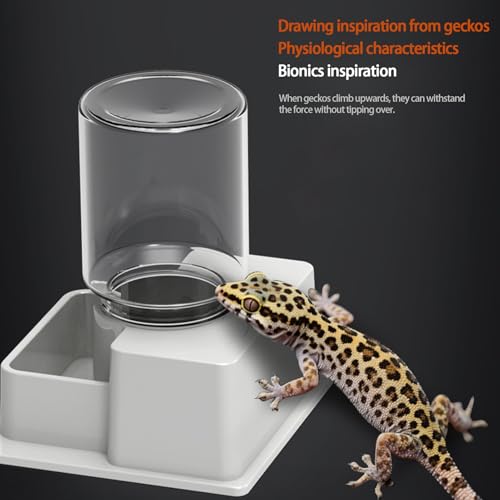 Genérico Wasserspender für Reptilien, automatischer Behälter für Terrarium, Tränke und für Bart- Drachen, für Chamäleon, Gecko, Frosch, Einsiedler, Amphibien, Terrarium und Tank-4