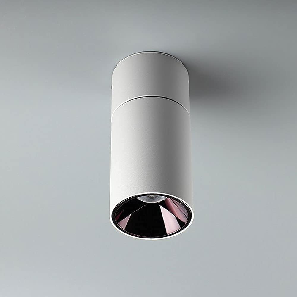 Plafonnage de plafond réglable LED et spot directionnel au design minimaliste