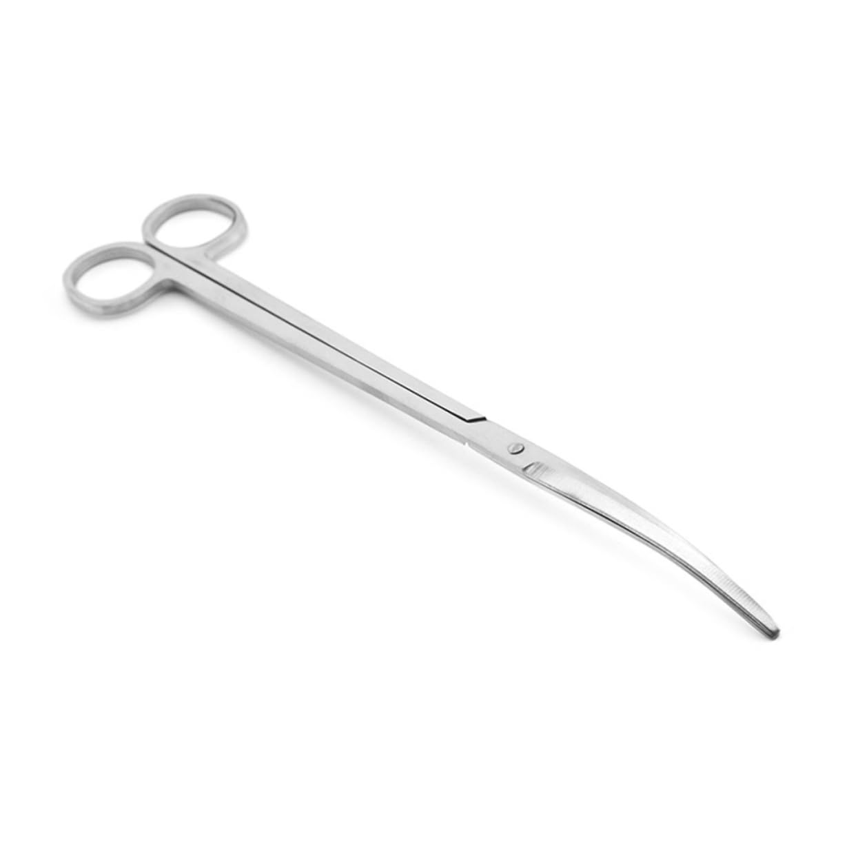 EXCEART 3pezzi Forbici Per Piante Acquatiche Acciaio Inossidabile Con Punta Curva Strumenti Per Acquario Per Potatura Piante Nel Serbatoio