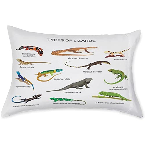 Decorative Bedding Sheet Set Cal-King Size, Reptiles Deep Pockets Fitted Sheet & 2 Pillow Sham Set, Lizard Family Design Primitive Camouflage Print Microfiber 3Pc Bed Sheets Set #TOP2