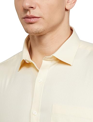Image of Park Avenue Men's Cotton Regular Fit Shirt
