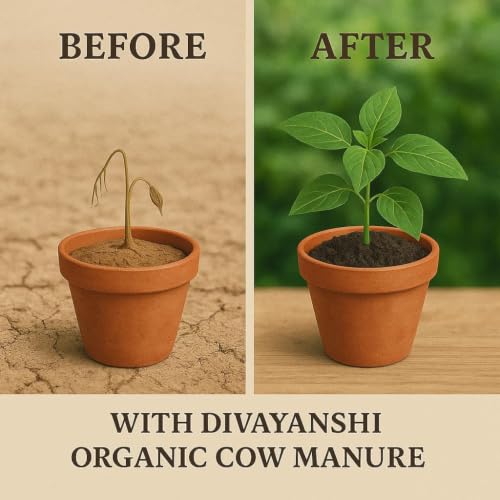 Image of DIVAYANSHI Organic Cow Manure - Enriched Desi Cow Dung Compost | Nourishes Plants Naturally for Healthy Growth & Blooming Gardens (15kg)