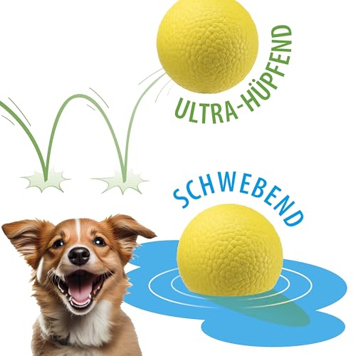 Ferplast Hunde Spielzeug, Hundeball, aus strapazierfähigem, ungiftigem, bissfestem Material, für die Zahnhygiene des Hundes, Springt und Schwimmt, CHEWA Boing Mittelgroße Hundespielzeug Ball, Gelb