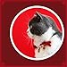 Hunde-Perlen-Halsband, 1 Stück, Haustier-Perlen-Halskette, verstellbare Perlen, Hunde-Halskette mit süßem Weihnachtsanhänger und Schleife, für Hunde, Katzen, Welpen, Katzen, Weiß, S