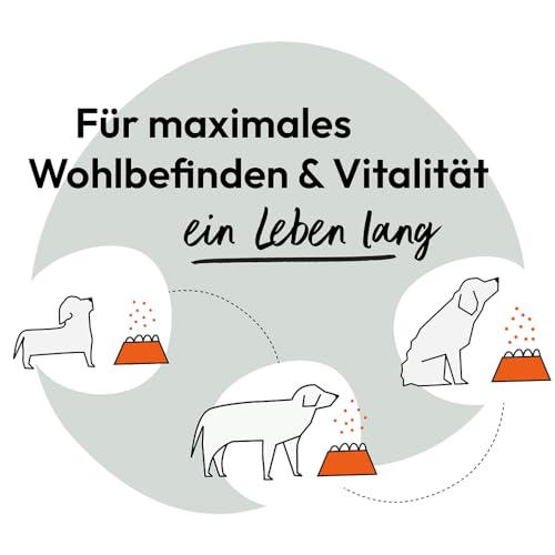 Grau - das Original - HOKAMIX30 Snack Maxi Veggie, der gesunde vegetarischer Snack mit 30 wichtigen Kräutern, 1er Pack (1 x 800g), Ergänzungsfuttermittel für Hunde