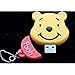 16GB Winnie the Pooh Shaped Cute Cartoon USB Flash Drives, Data Storage Device, USB Memory Stick Pen, Thumb Drive