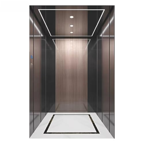 Smooth Indoor Elevator, Luxury Electric Home Elevator with Self-Check Holding Force Protection, Easy Installation for Rural Country House & Studio Office Suite