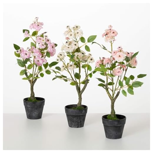 Sullivans Mini Pink & White Rose Bush