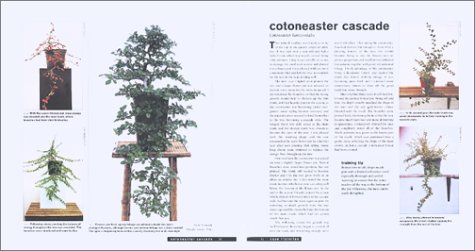 Bonsai Life Histories: The Lives of over 50 Bonsai Trees in Photos and Words      Hardcover – March 2, 2002