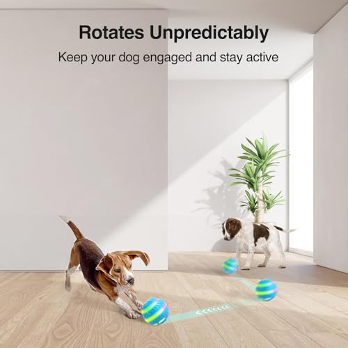 ALL FOR PAWS Interaktiver LED Hundeball für Langeweile-Bewegung aktivierte bewegliche Hundebälle Spielzeug leuchtet auf USB wiederaufladbar für Tag/Nacht Spiel