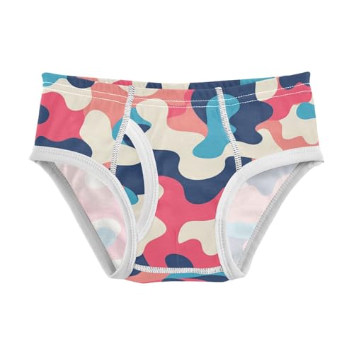 KLL Camouflage Pattern Trendy Style Boys Toddler Cotton Nighttime Underwear Cute Undies