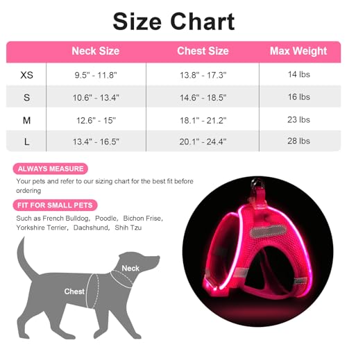 Feycig Leuchtend Hundegeschirr LED Aufladbar - Leuchtgeschirr Leuchtendes & Reflektierendes für Welpe Klein Mittlere Hund, Brustgeschirr Hundegeschirr, Atmungsaktiv Leucht Geschirr (Pink, X-Small)