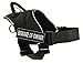 DT Fun Harness, Beware Of Owner, Black With Reflective Trim, X-Small - Fits Girth Size: 20-Inch to 23-Inch