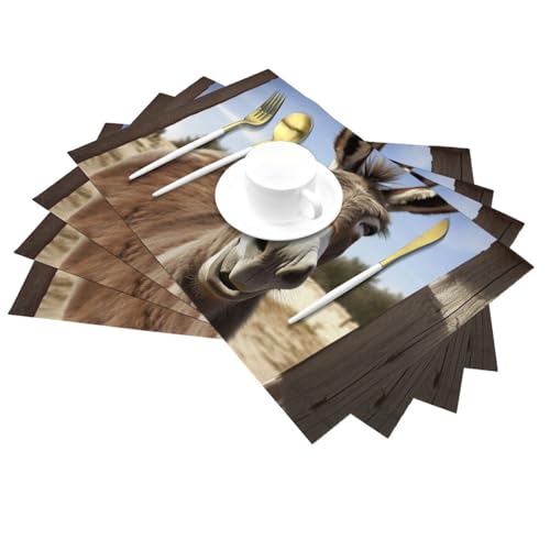 Set de table antidérapant lot de 6 résistant pour protéger la table des enfants