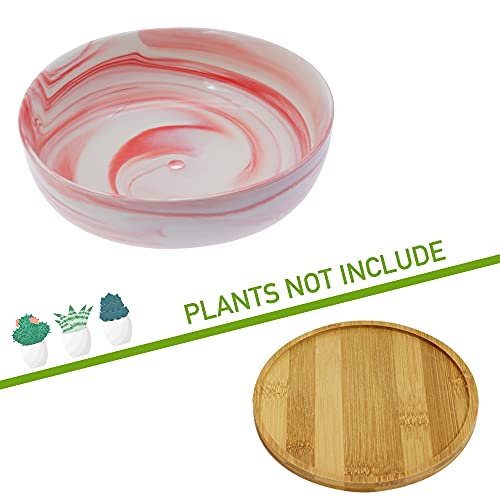 DeeCoo Succulent Pots, 2 Packs Ceramic Flower Succulent Planters Pot with Bamboo Tray, Marble Pattern Round Succulent Planter Pot for Indoor/Outdoor Plants