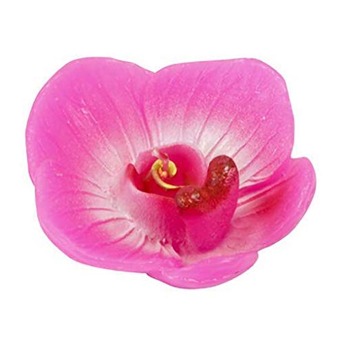HOBI Bougie Flottante orchidée Rose Fuchsia (x2) REF/BG021