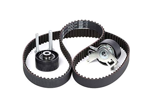 Kit de distribution INA 530 0238 10 : Longévité et Courroie Transversale 29mm