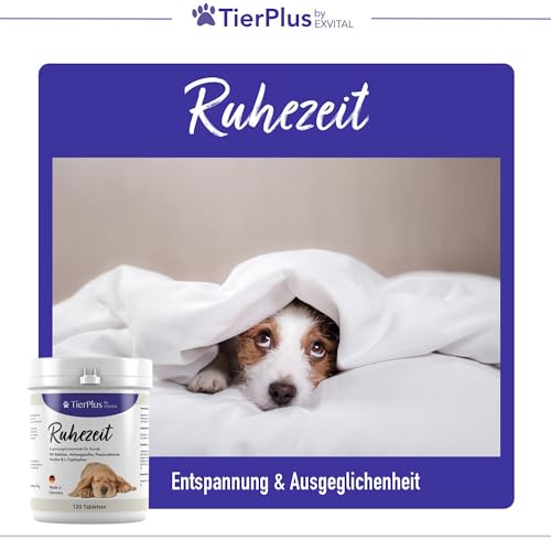 TierPlus Ruhezeit Tabletten für Hunde, Relax Tabs mit Baldrian, Ashwagandha, Hanföl, Hopfen, L-Tryptophan & Passionsblume, 120 Tabletten, Hochdosiert & mit Soforteffekt