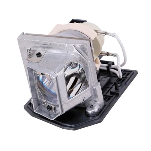Lampe pour projecteur Optoma HD20 et HD23 remplacement BL-FP230J