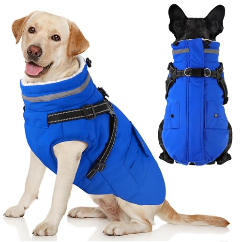 Dogcheer pR[g n[lXt h g pEB^[WPbg |Pbgt  ybg t[X WPbg ^[glbN Xm[X[c ^  ^p - u[AXS