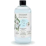  ESTEBAN Paris Blanc Coton blanco algodón Recarga para Bouquet perfumado 500 ml