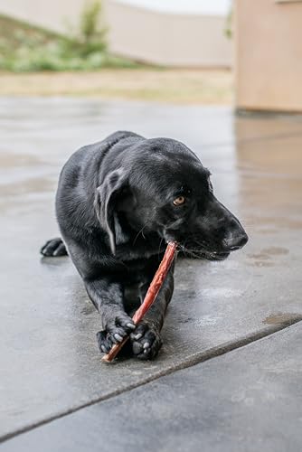 Image of GigaBite Beef Esophagus Dog Treats - Natural Gullet Sticks for Dogs, High Protein Single Ingredient Dog Chews, Rawhide Free Dental Dog Treats for All Dog Breeds - Sticks (6 Inch), Pack of 35