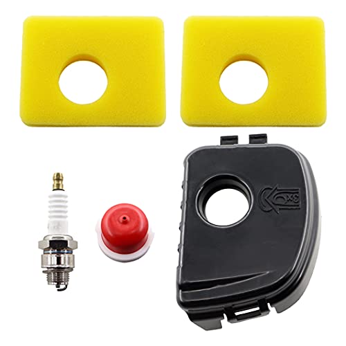 REEMO Couvercle de filtre à air avec filtre à air pour Briggs & Stratton 300e 450e 550e série 595660, 594281, 799579, 5434, 4248, 09P702