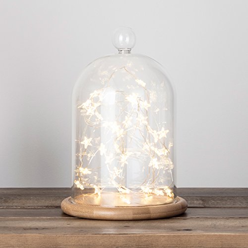 Lights4fun Christmas Star Fairy String Lights with 40 Micro Warm White LEDs on Silver Wire Battery Operated Timer 3.9m