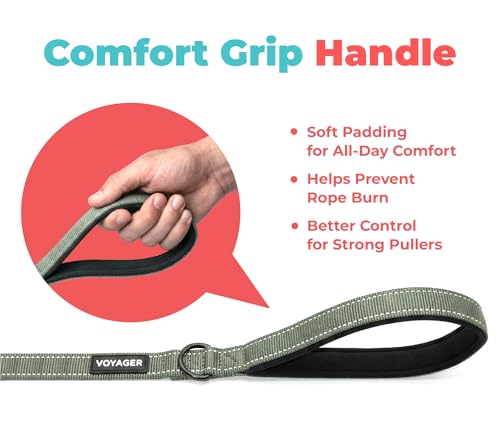 Image of Best Pet Supplies Voyager Reflective Dog Leash or Collar with Neoprene Handle, for Small, Medium, and Large Breed Puppies, Cute and Heavy Duty for Walking, Running and Training - Moss Green (Leash), M