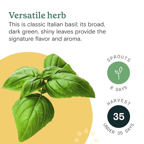 Rise Gardens Super Sweet Genovese Basil Seed Pod Kit, Herb Seeds for Planting in Hydroponic Gardens and Indoor Growing Systems, 4-Pack