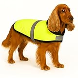 🐾 Protégez Votre Chien du Froid et de la Pluie – Le Flamingo Manteau d’Hiver Eisbär est conçu pour offrir à votre compagnon une chaleur optimale tout en le gardant au sec lors des journées froides et humides.