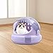 Pet Carrier Small Dog Carrier Cage Pet Travel Carrier Hard Sided Cat Carrier for Small Dogs, Puppy, Cats, Camping Traveling, Purple