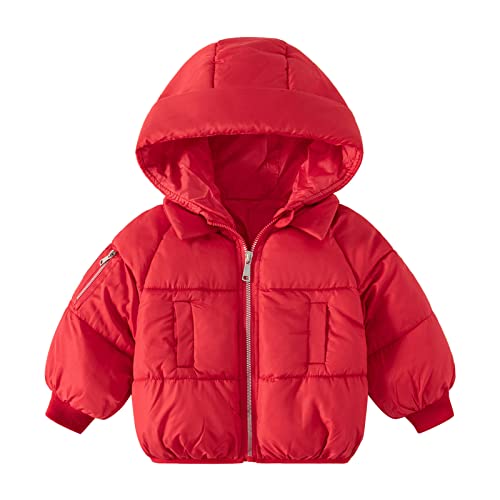 Little Boys Hooded Coat Warm Winter Outerwear Full Zipper Winter Puffer Jacket Hooded Zip-Up Coat with Front Pockets