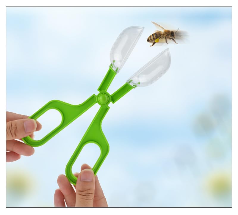 Image of Live Caterpillar to Butterfly Kit - 7pcs Butterfly Habitat,Butterfly cage,Caterpillars for Butterflies Kit 7 Pieces,Insect Mesh Cage