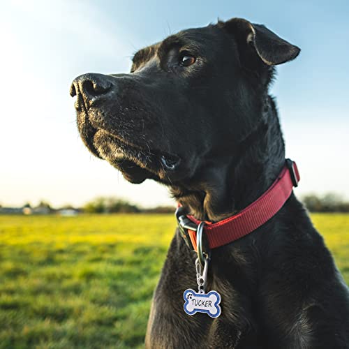 Aimeng Personalized Stainless Steel Pet ID Tags with Glittery Bone Design - DEEP Engraved Dog Tags Engraved for Pets Customized with 5 Lines Dogs and Cats Pets — view 2