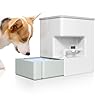 Automatic pet water dispenser 8l gravity waterer ultra quiet top fill water bowls for cats puppies dogs no spill water feeder algae free 211gal green white green 11 15 7 inch  urban country home decor