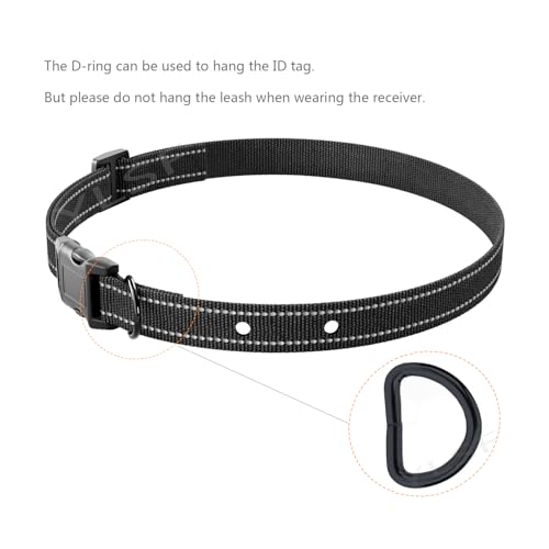 EIN hundehalsband mit Zwei Loch in einem elektrozaun, an dem Man gewöhnt ist, braucht einen um einen Halsband durch elektronische Ringe zu ersetzen, die mit Fast Allen Marken verbunden sind