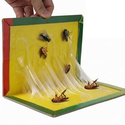 Sticky Insect Trap (Yellow, 6.5 x 8 Inch, Large Size) - Design May Different (Pack of 3)-image-14