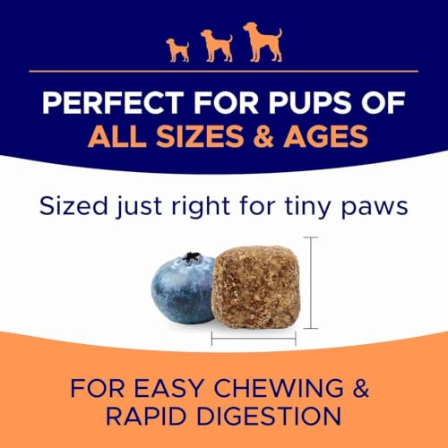 Dog Allergy Relief Chews - Anti-Itch Skin & Coat Supplement with Omega 3 - Image 5