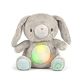 Ingenuity Heart to Hugs Sylvi Soothing Plush Toy with Lights, Vibrations, & Music