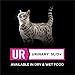 Purina Pro Plan Veterinary Diets UR Urinary St/Ox Feline Formula Dry Cat Food - 6 lb. Bag