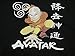 Bioworld Avatar the Last Airbender Ang Anime Character Black Hoodie - L