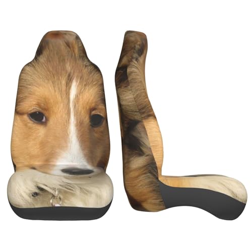 Funda de asiento de coche para perros Sheltie universal y protectora 4