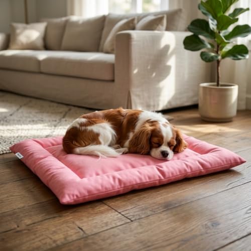 Cama Caminha Colchonete Rosa Pequeno 70x50cm para Cachorro e Gato de Suede Lavável Almofada Pet Macia Confortável